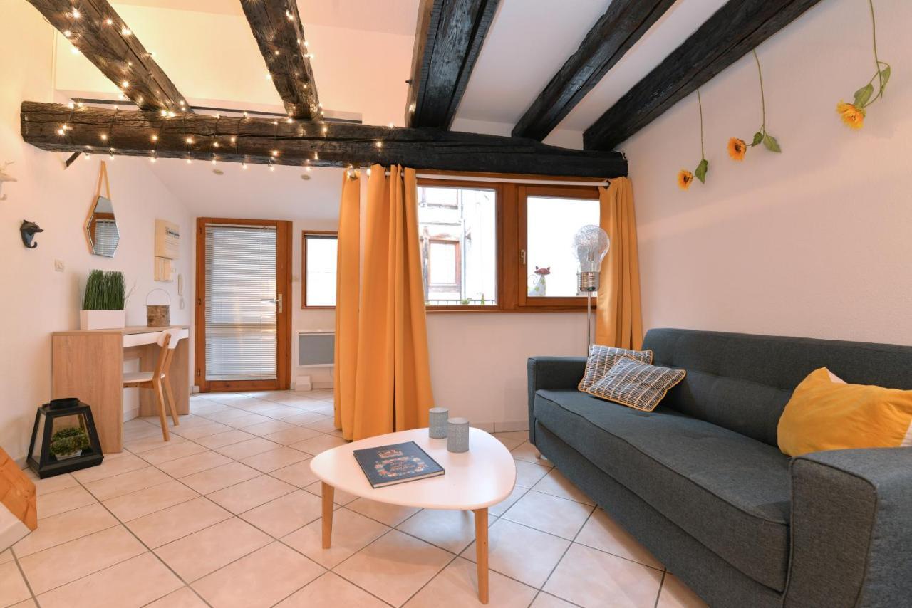 Appartement La Terrasse Sur Cour Colmar Exterior photo