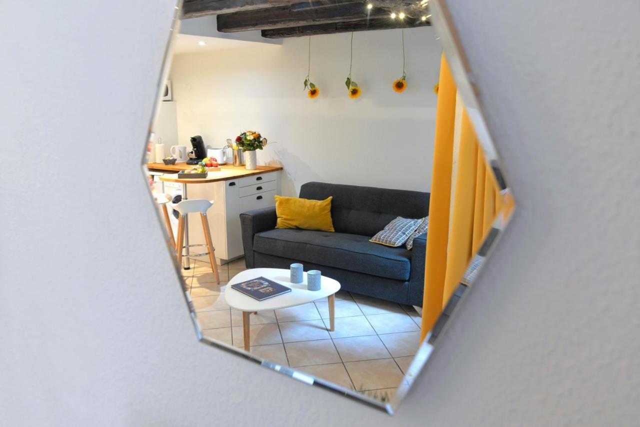 Appartement La Terrasse Sur Cour Colmar Exterior photo
